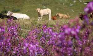 1 9xp7ocqMgnVUmHGnVbsKOQ