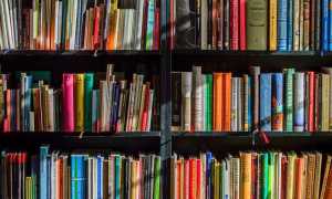 Biblioteca libro