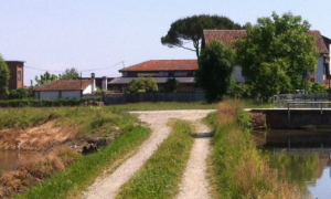 Fontanetto po