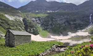 IMG 20240726 WA0011