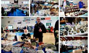 IMG 7852