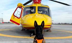 PHOTO 2025 12 06 15 22 57