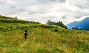 Schermata 2020 11 14 alle 11.05.43