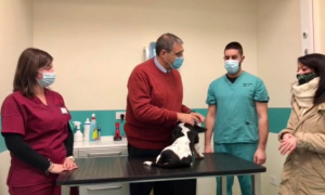 Schermata 2020 12 20 alle 11.05.01