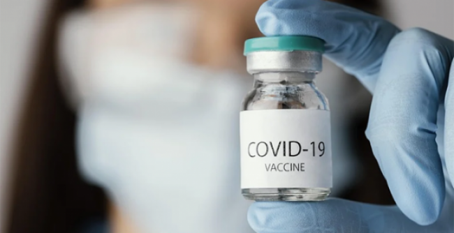 Schermata 2021 05 08 alle 18.32.38 copia images articles vco ossola 2022 febbraio thumb medium650 0