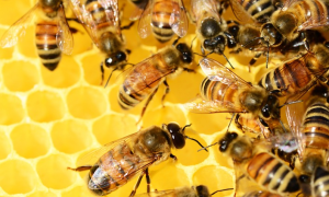 Schermata 2021 08 07 alle 09.41.25