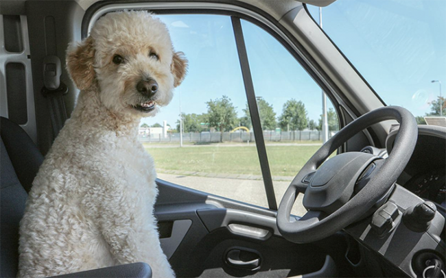 Schermata 2022 08 07 alle 09.39.44