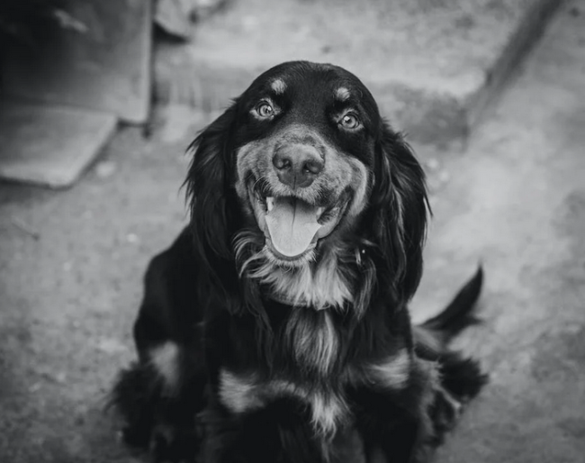 Schermata 2023 04 05 alle 12.01.34