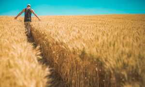 agricoltore