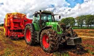 agricoltura foto