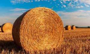 agricoltura