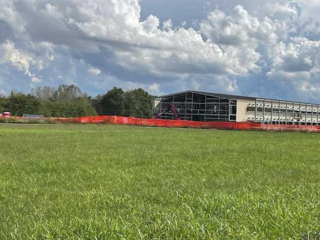 arborio capannoni allevamento galline