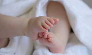 baby g53aed7c66 640