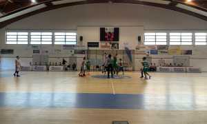basket barberi under 15