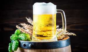 beer 2695358 640