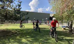 bici generica