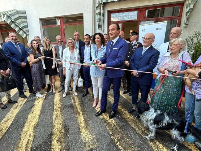 biella ambulatorio veterinario solidale