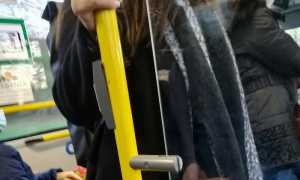 bus passeggeri