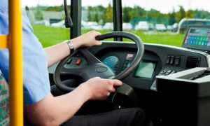 bus