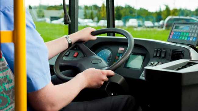 bus