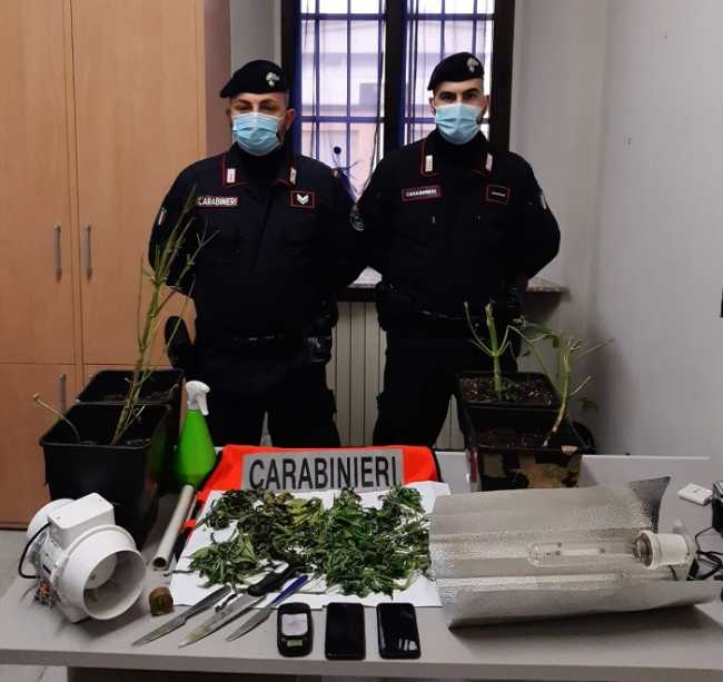 carabinieri droga livorno ferraris