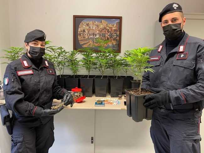 carabinieri droga vercelli