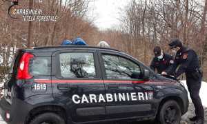 carabinieri forestali valsesia