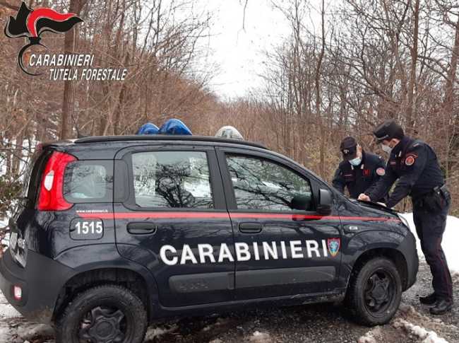 carabinieri forestali valsesia