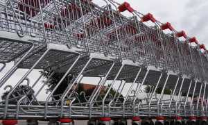 carrelli spesa