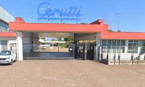 cerutti