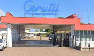 cerutti