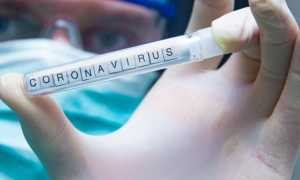 corona virus