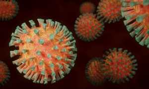coronavirus 4972480 640