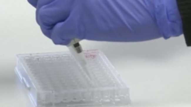 coronavirus