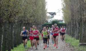 cross babi