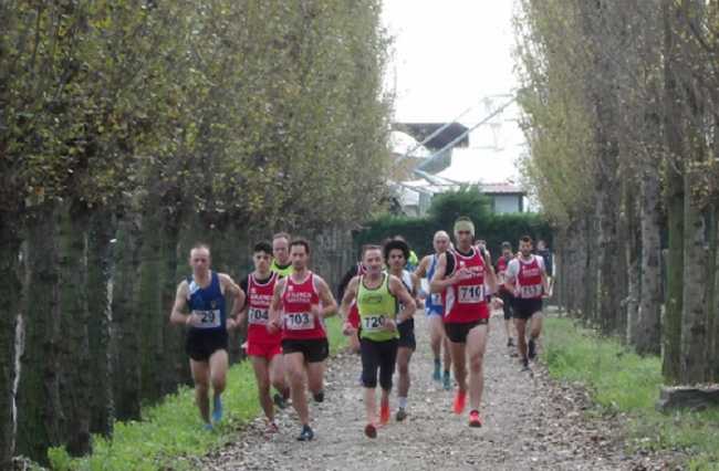 cross babi