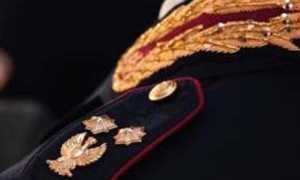 distintivi polizia