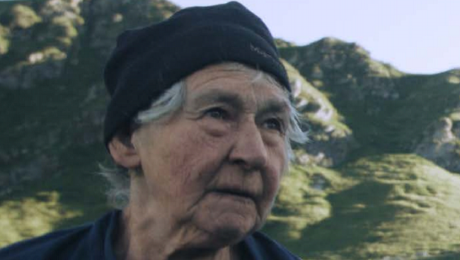 documentario walser
