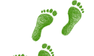 eco camminata