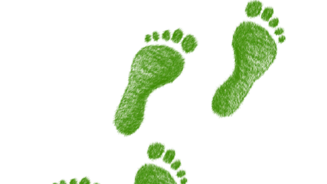 eco camminata