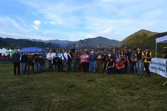 fierabestiame
