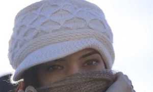 freddo donna