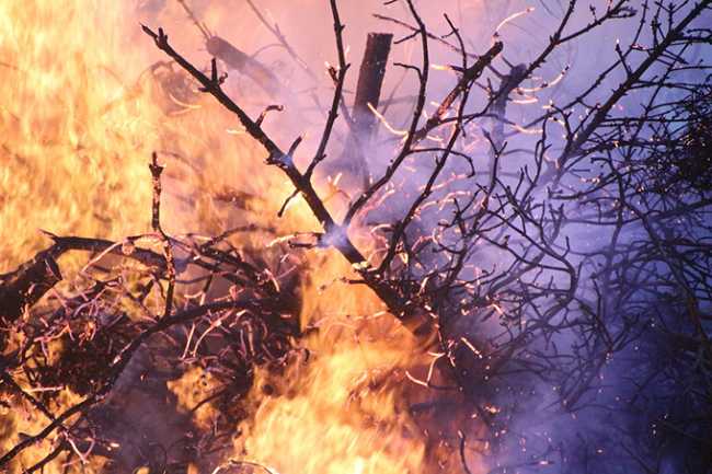 incendio bosco