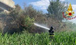 incendio sterpaglie