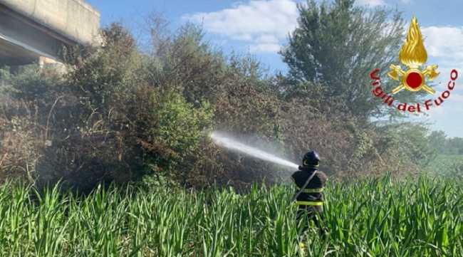 incendio sterpaglie