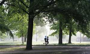 jogging 4211946 640