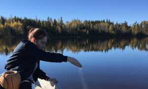 lake 1828424 640