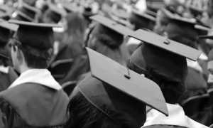 laurea