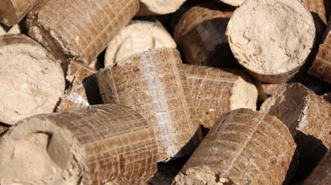 legno