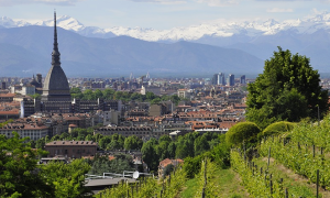 mole torino vigna